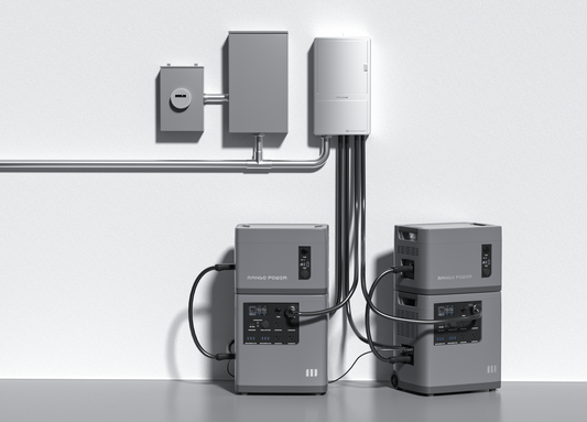 2 Mango Power E & 2 E Extra Battery & mPanel Pro