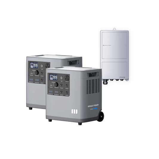 2 Mango Power E & mPanel Pro